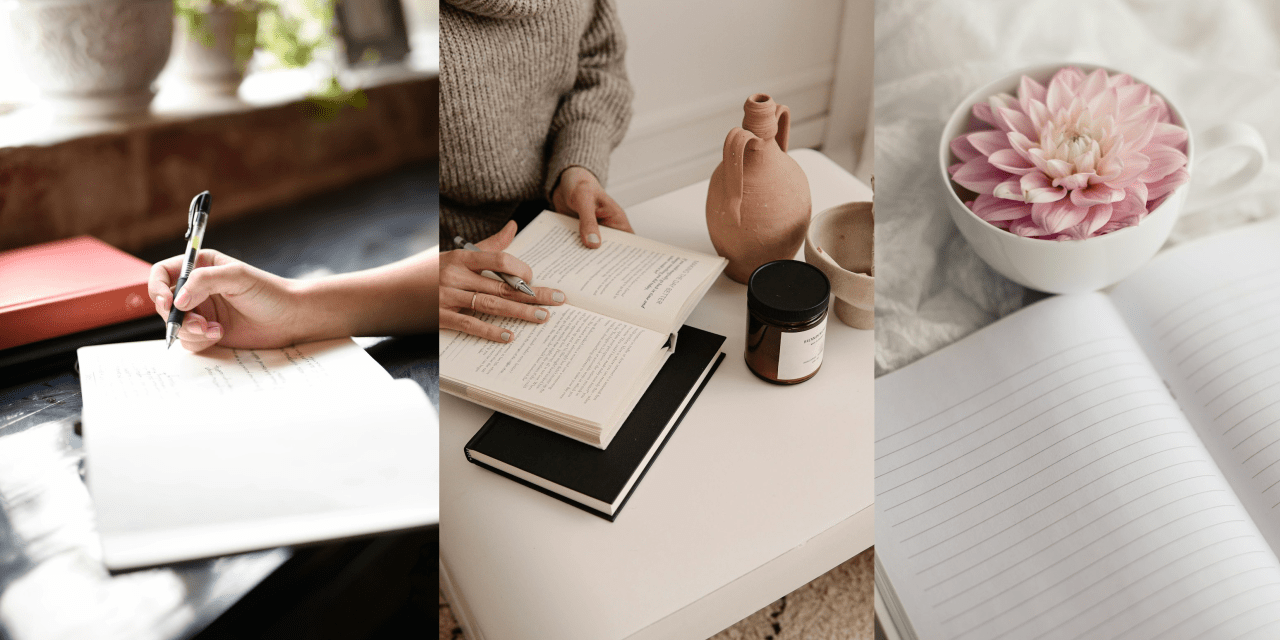 Daily Journals - Haler Smith