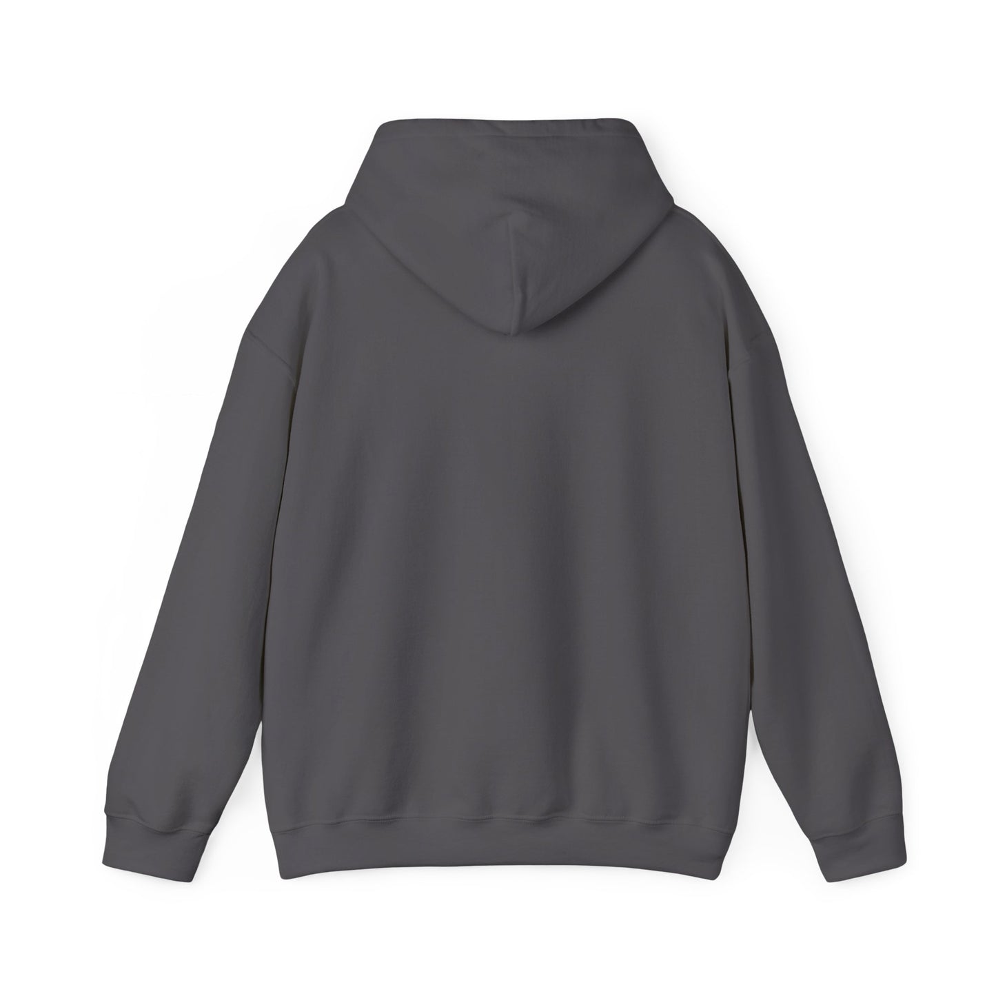 Recovery Hoodie | Unity Service Recovery Design 1 On The Front
