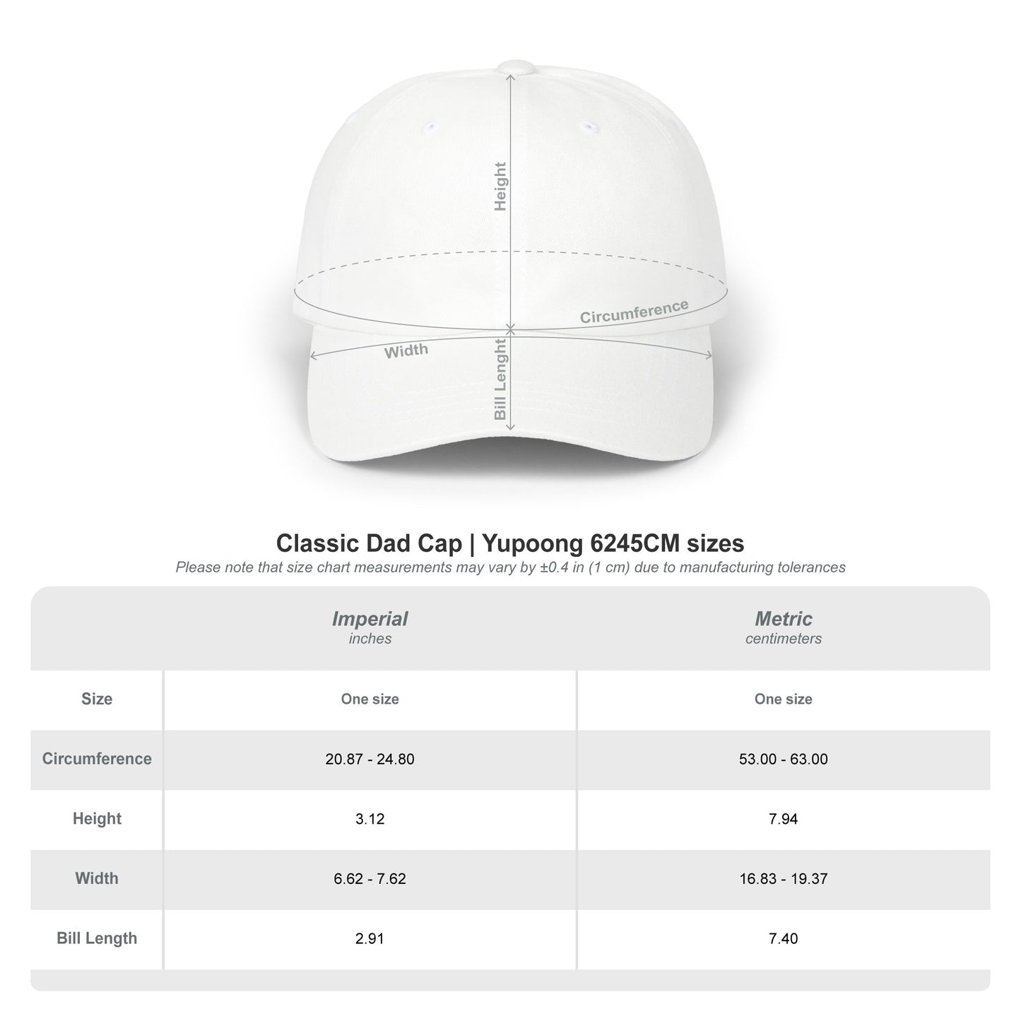Sobriety Dad Cap | Unity Service Recovery Design 1